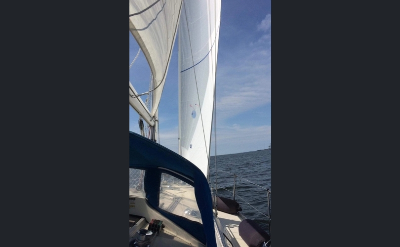 Comfortina 32-kuva-17